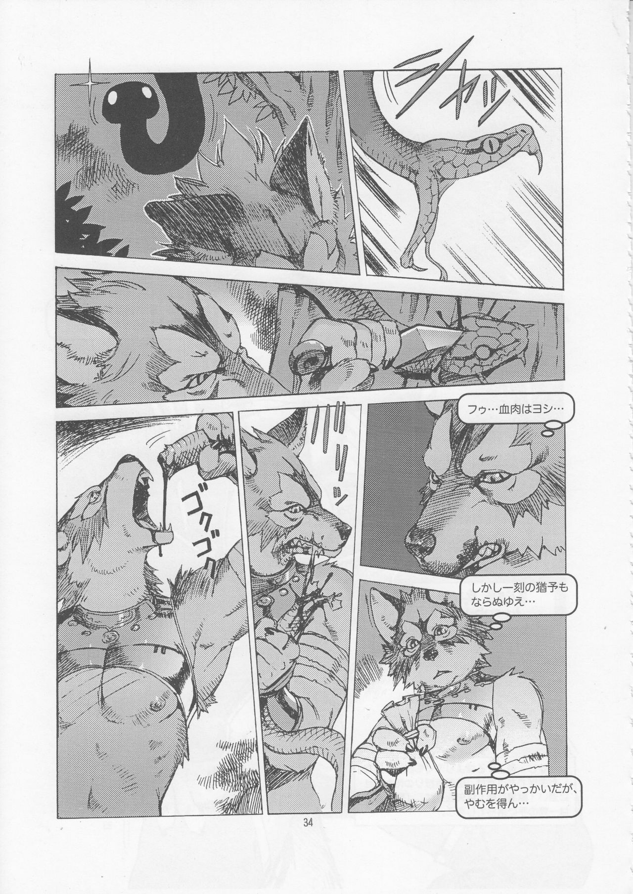 (C73) [TEAM SHUFFLE (Various)] Kemono no Sho Juuyon - Book of The Beast 14 page 33 full