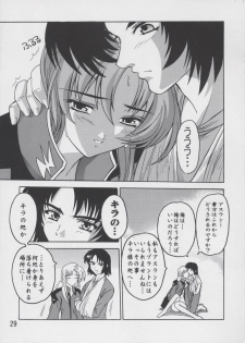 (C67) [Studio Q (Natsuka Q-Ya)] Lacus Soushuuhen Destiny (Gundam Seed) - page 29