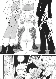 [Ginmomodou (Mita Satomi)] Koukai Nisshi DX (One Piece) - page 16