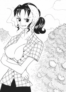 [Ginmomodou (Mita Satomi)] Koukai Nisshi DX (One Piece) - page 46