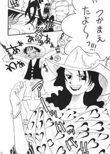 [Ginmomodou (Mita Satomi)] Koukai Nisshi DX (One Piece) - page 48