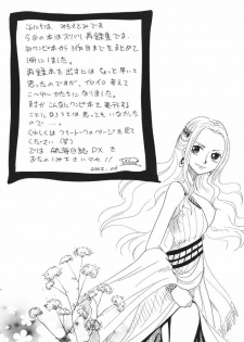 [Ginmomodou (Mita Satomi)] Koukai Nisshi DX (One Piece) - page 4