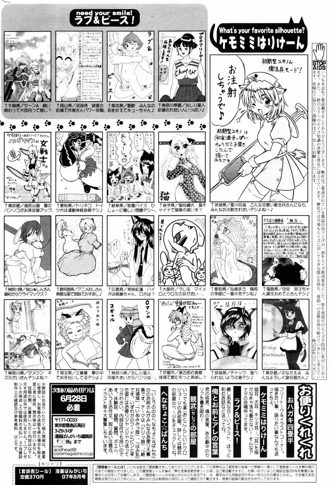 Manga Bangaichi 2007-08 Vol. 211 page 262 full