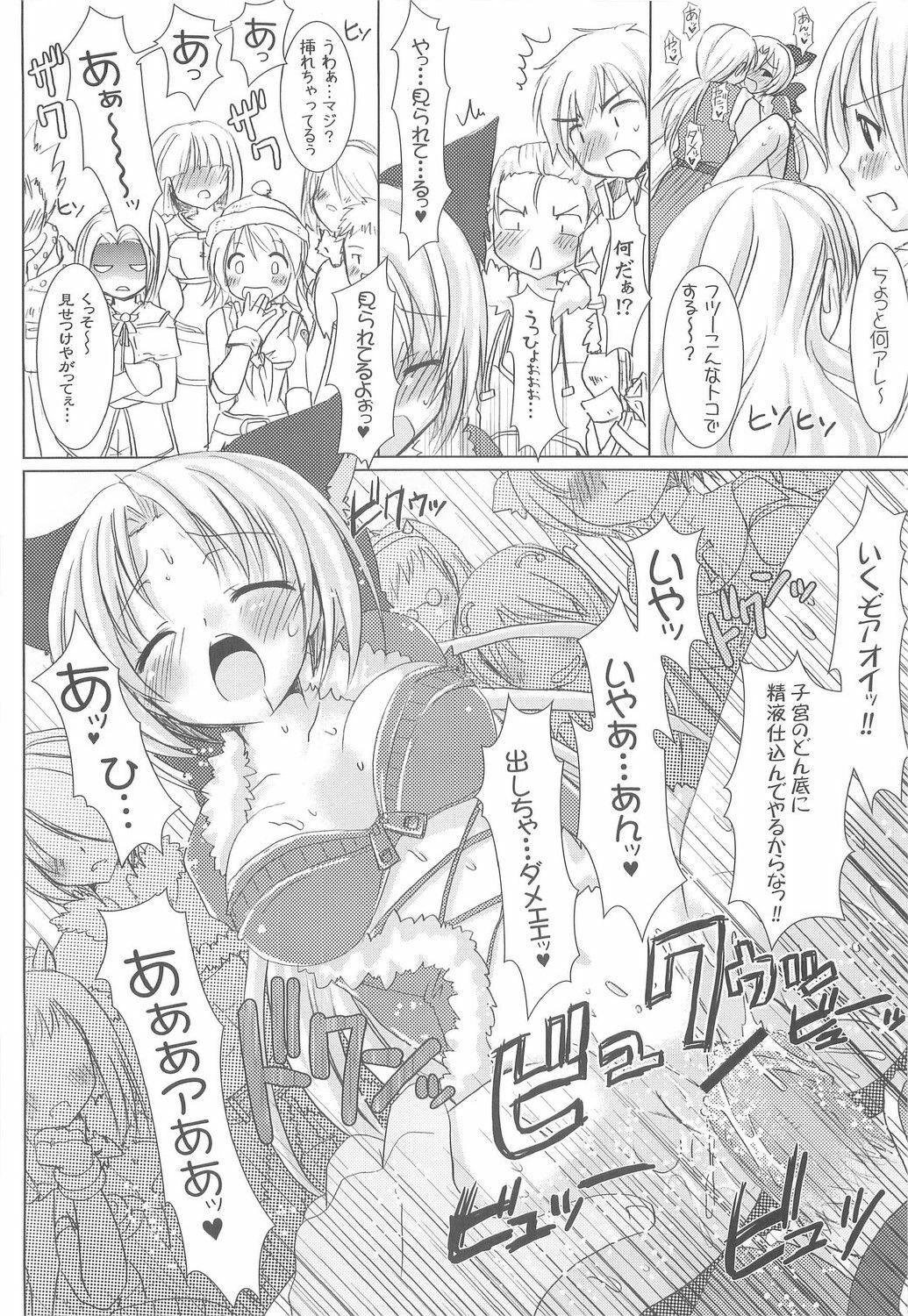 (C73) [VENOM (Alto Seneka, Rusty Soul)] Lovely Poison 9 (Ragnarok Online) page 15 full