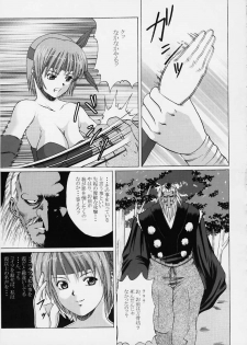 (C59) [Abura Katabura (Papipurin)] Kasumi Ringokukou (Dead or Alive) - page 14
