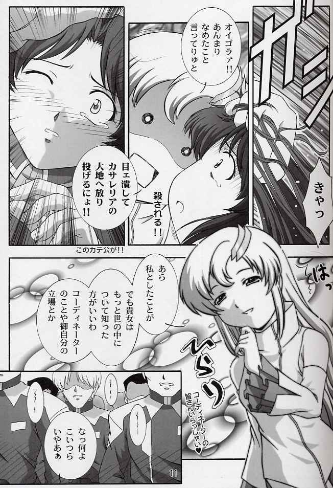 (CR33) [Studio Wallaby (Takana Yu-ki)] SECRET FILE NEXT 6 (Kidou Senshi Gundam SEED) page 10 full