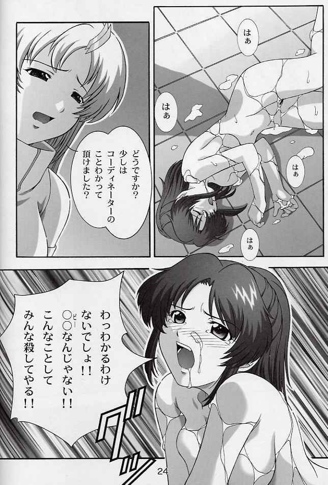 (CR33) [Studio Wallaby (Takana Yu-ki)] SECRET FILE NEXT 6 (Kidou Senshi Gundam SEED) page 23 full