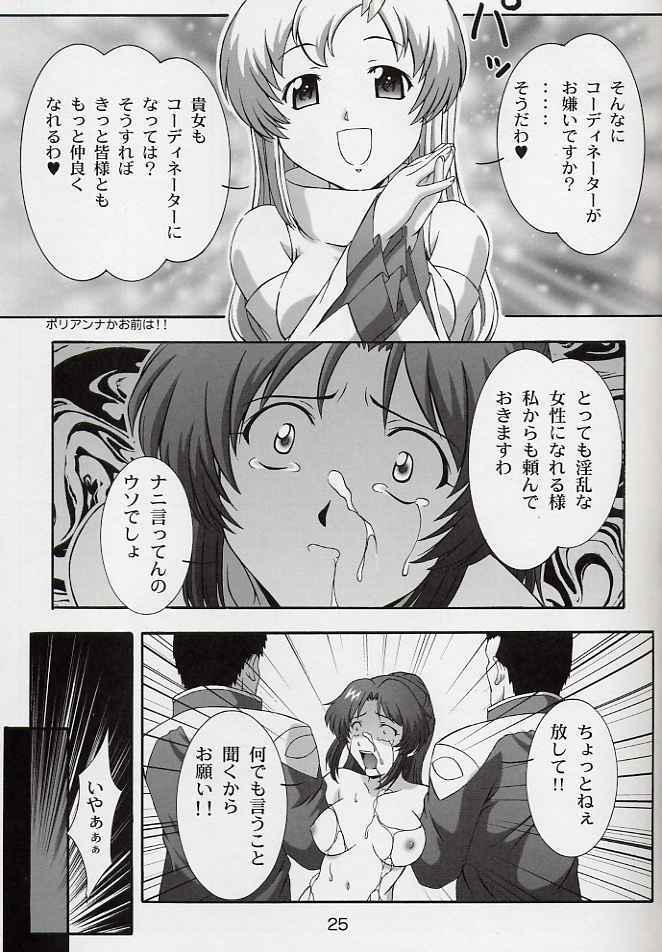 (CR33) [Studio Wallaby (Takana Yu-ki)] SECRET FILE NEXT 6 (Kidou Senshi Gundam SEED) page 24 full