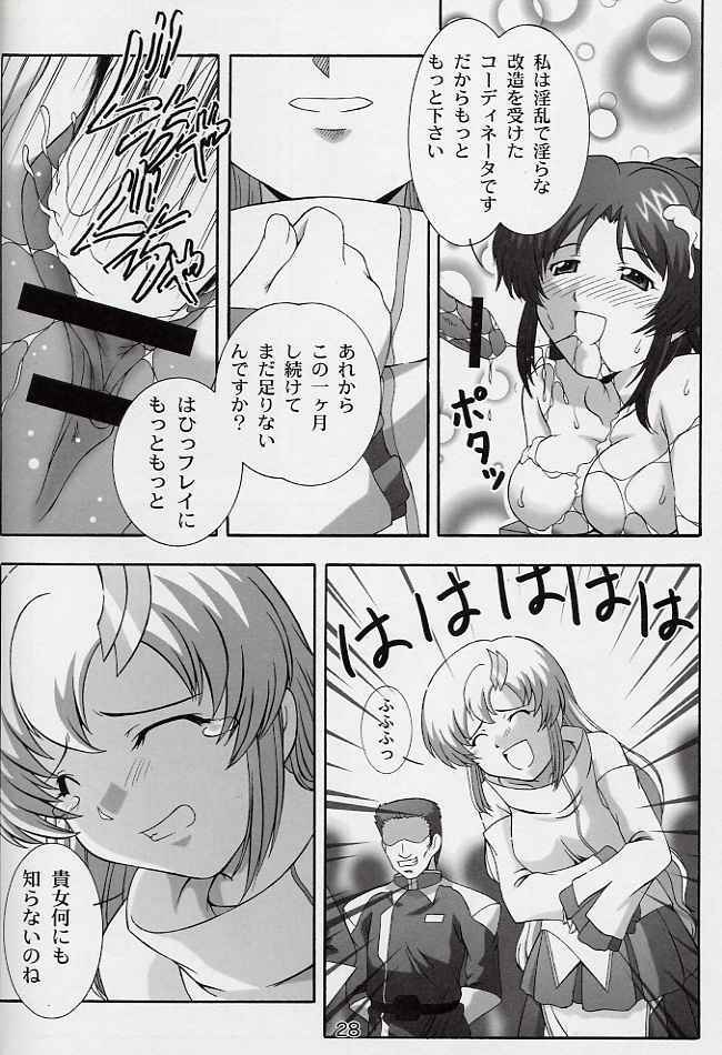 (CR33) [Studio Wallaby (Takana Yu-ki)] SECRET FILE NEXT 6 (Kidou Senshi Gundam SEED) page 27 full