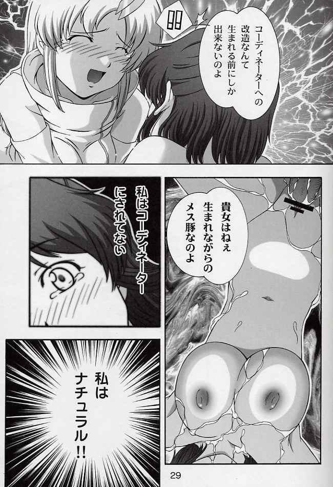 (CR33) [Studio Wallaby (Takana Yu-ki)] SECRET FILE NEXT 6 (Kidou Senshi Gundam SEED) page 28 full
