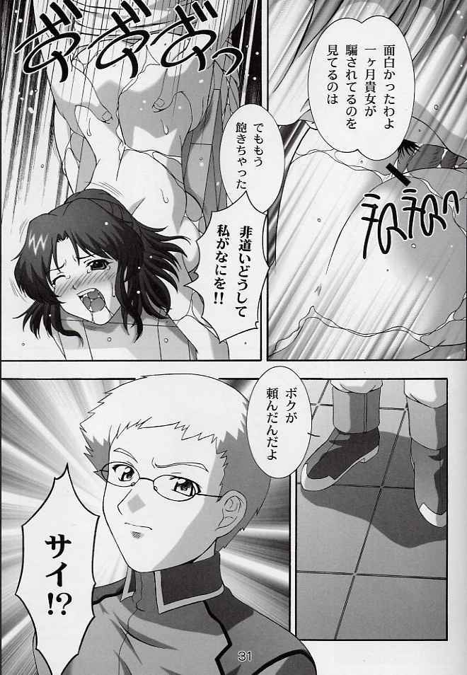 (CR33) [Studio Wallaby (Takana Yu-ki)] SECRET FILE NEXT 6 (Kidou Senshi Gundam SEED) page 30 full