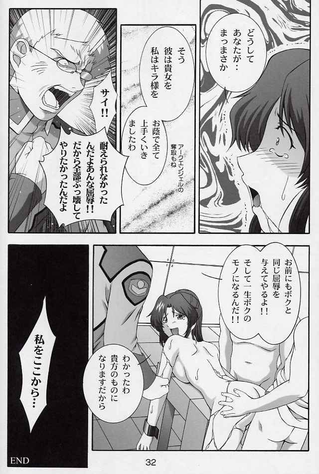 (CR33) [Studio Wallaby (Takana Yu-ki)] SECRET FILE NEXT 6 (Kidou Senshi Gundam SEED) page 31 full
