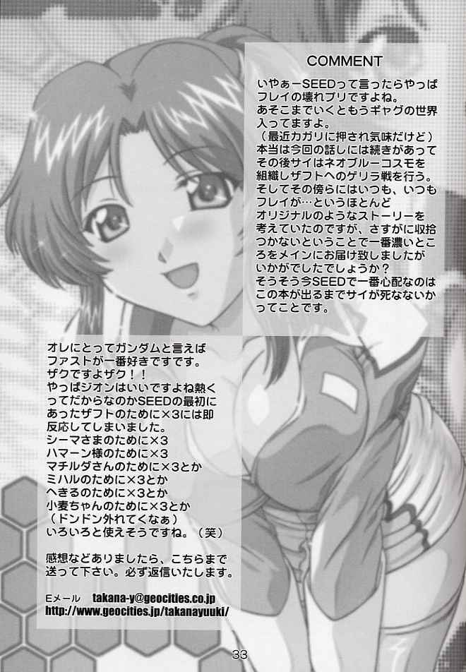 (CR33) [Studio Wallaby (Takana Yu-ki)] SECRET FILE NEXT 6 (Kidou Senshi Gundam SEED) page 32 full