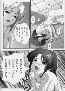 (CR33) [Studio Wallaby (Takana Yu-ki)] SECRET FILE NEXT 6 (Kidou Senshi Gundam SEED) - page 23