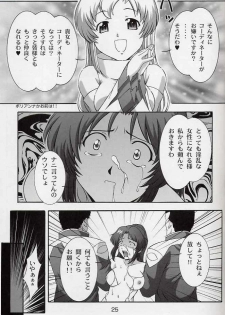 (CR33) [Studio Wallaby (Takana Yu-ki)] SECRET FILE NEXT 6 (Kidou Senshi Gundam SEED) - page 24