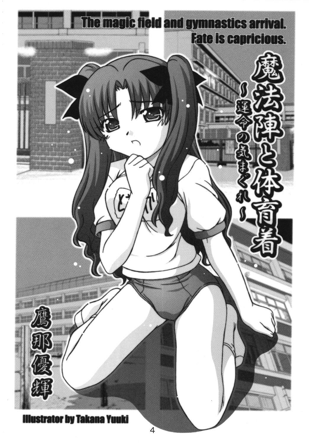 (C67) [Studio Wallaby (Takana Yu-ki)] SECRET FILE NEXT 11 - Fate is capricious (Fate/stay night) page 3 full