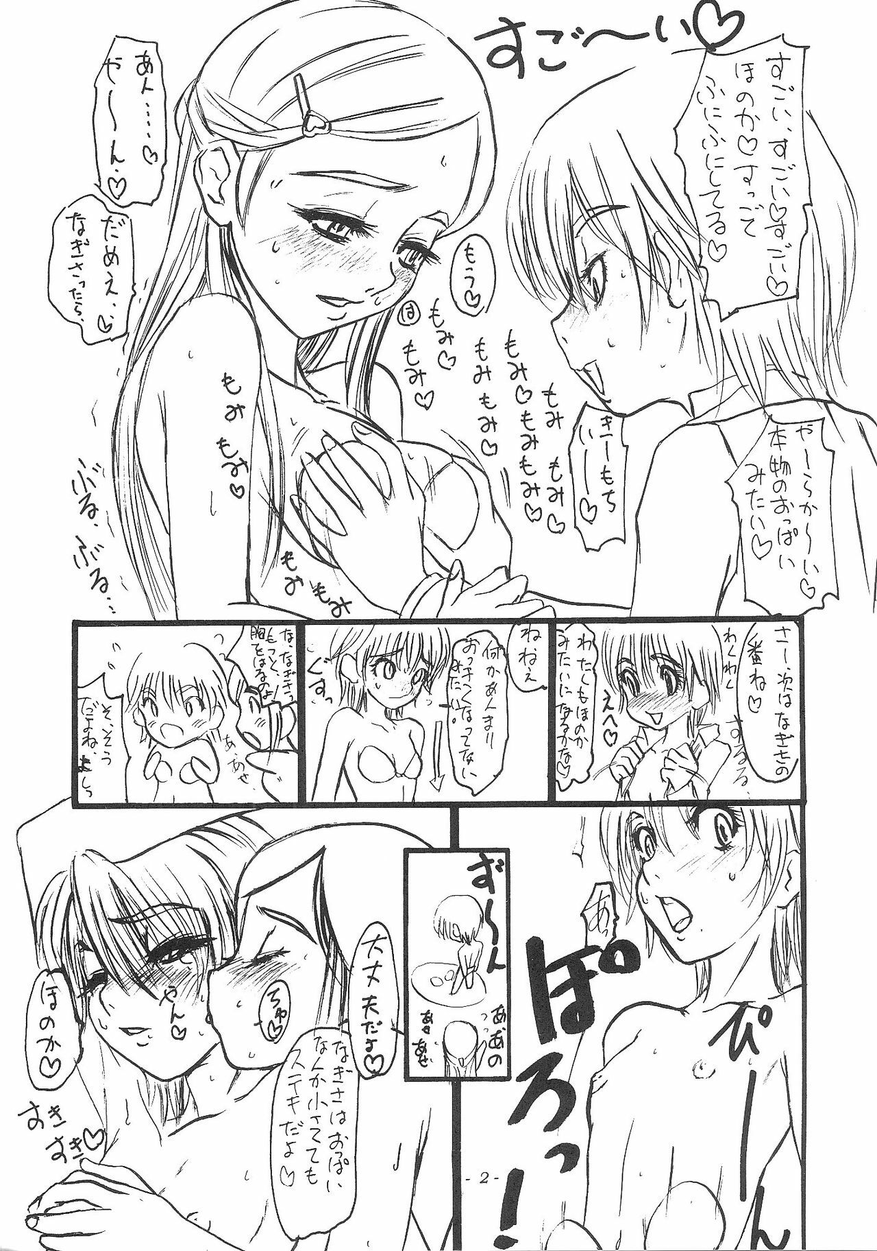 (C66) [Sekai Kakumei Club (Ozawa Reido)] Mesu Buta no Shiiku to Kouhai Nitsuite (Futari wa Precure) page 3 full