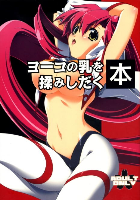 (C73) [Sakura Zousui (Narumi Suzune)] Yoko no Chichi wo Momishidaku Hon (Tengen Toppa Gurren Lagann)