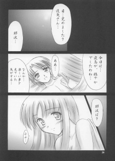 (C63) [Knights (Kishi Nisen)] Setsugetsuka ～ Tsukiyomi ～ (Suigetsu) - page 27