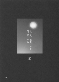 (C63) [Knights (Kishi Nisen)] Setsugetsuka ～ Tsukiyomi ～ (Suigetsu) - page 28