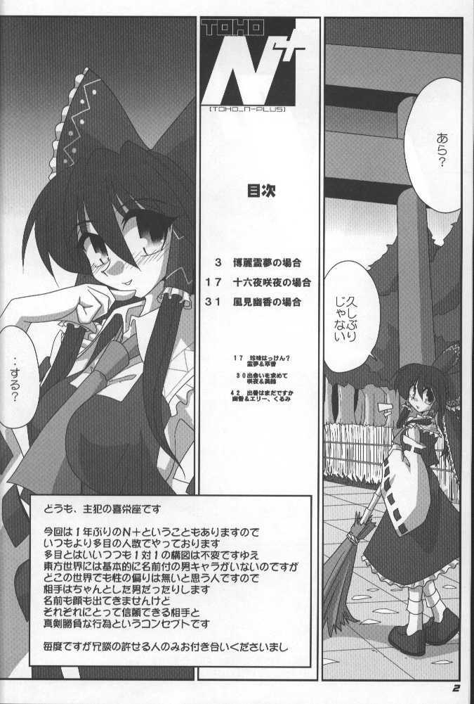 (SC34) [Kieyza cmp (Kieyza)] TOHO N+ (Touhou Project) page 3 full