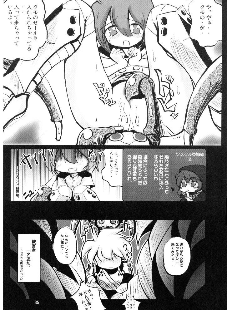 (SC36) [(Yuu) Adashino Suisan (Isshi Taira)] 14 Gurui (Etrian Odyssey) page 25 full