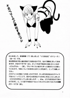 [Kurione-sha (Yu-ri)] Otome Kaikin (One Piece) - page 3