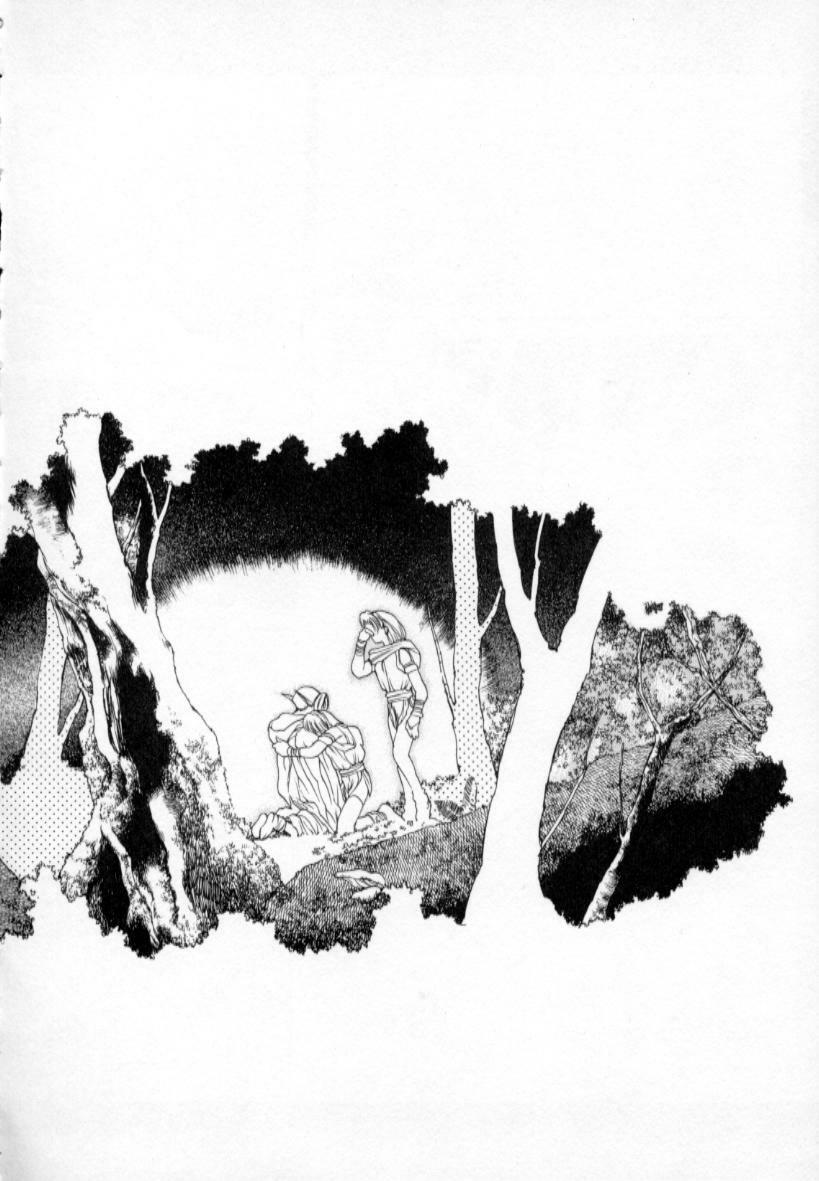 [Togashi] History 1 - Story Of The Forest Fairy 1 (Yenc-Dajir) page 189 full