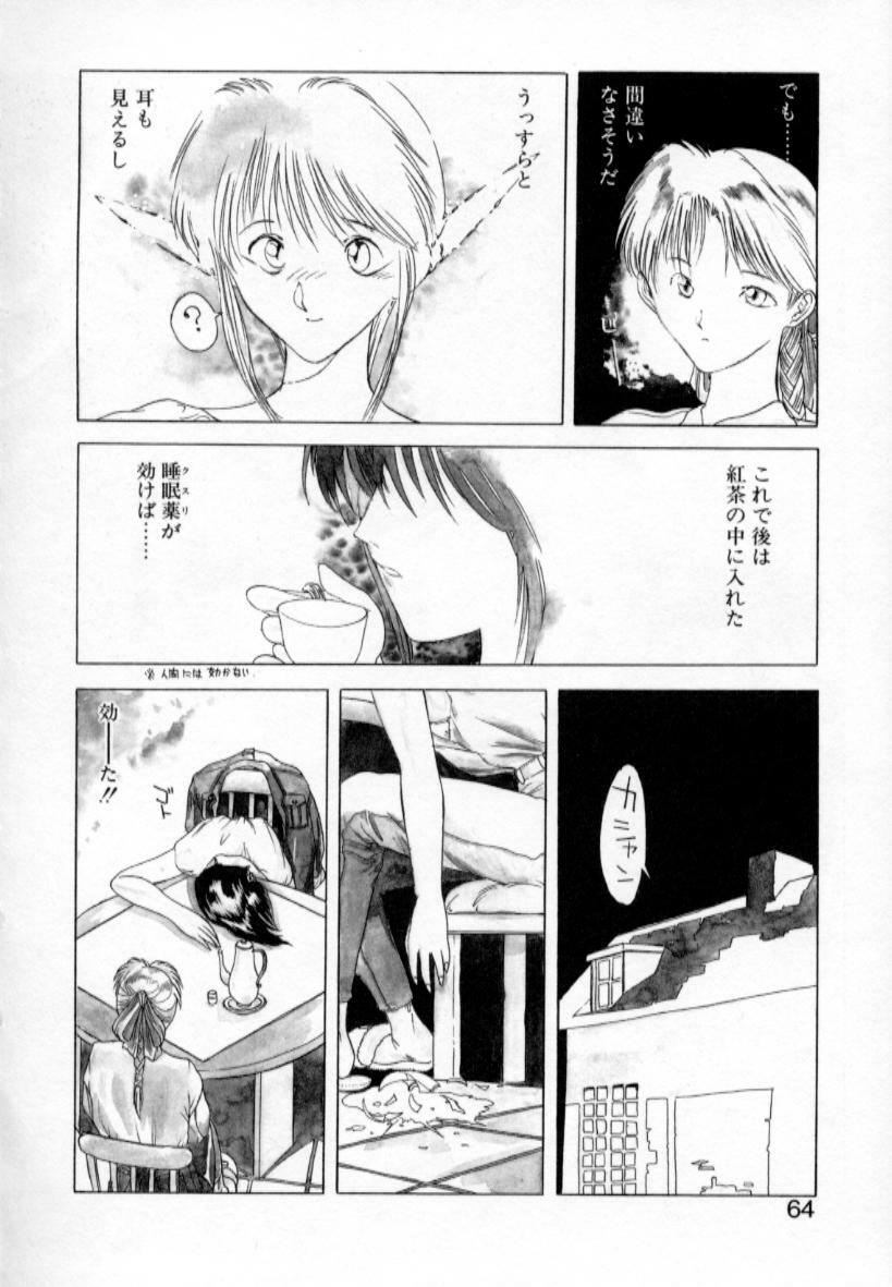 [Togashi] History 1 - Story Of The Forest Fairy 1 (Yenc-Dajir) page 67 full