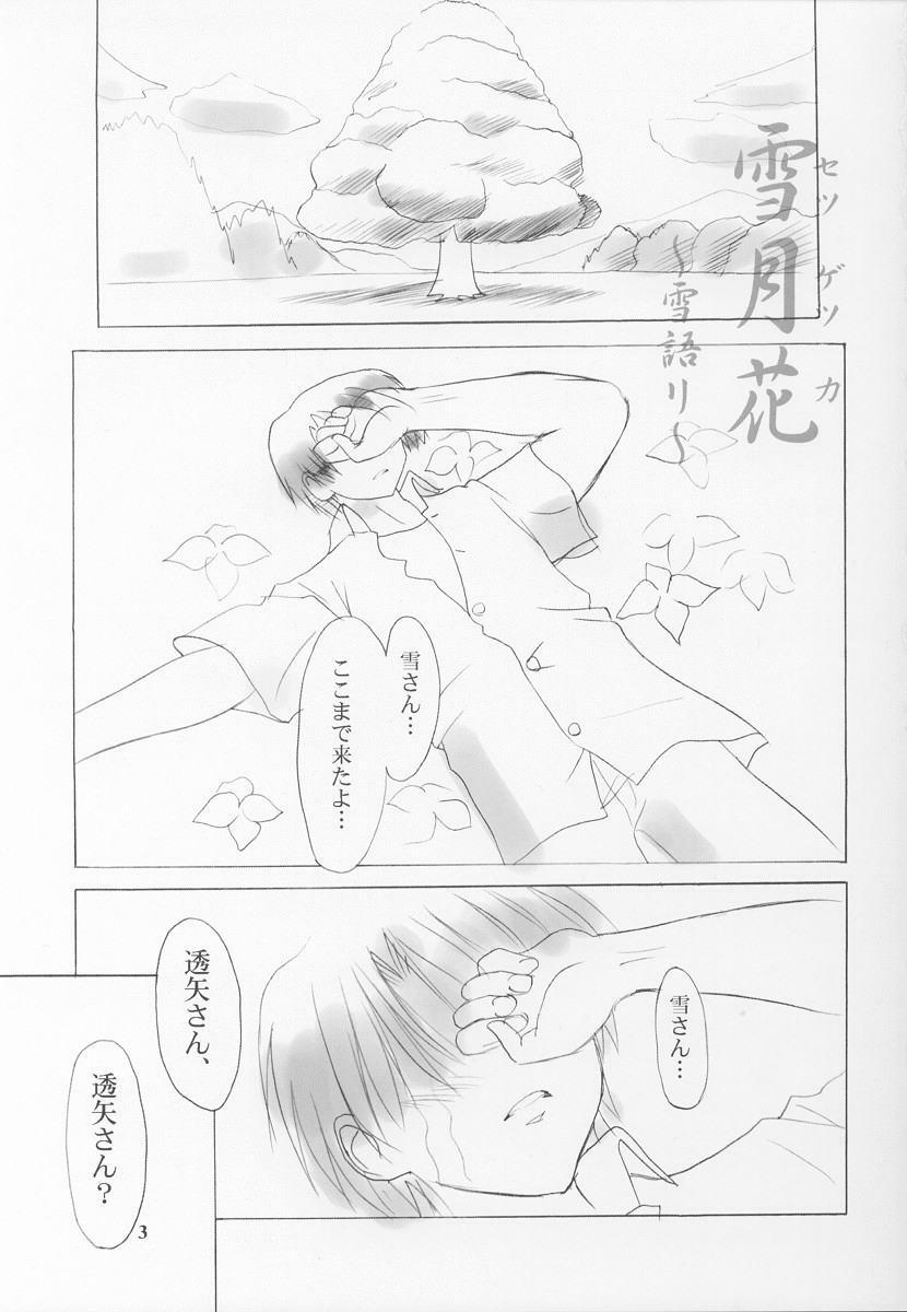 (C62) [Knights (Kishi Nisen)] Setsugetsuka ～ Yukigatari ～ (Suigetsu) page 3 full