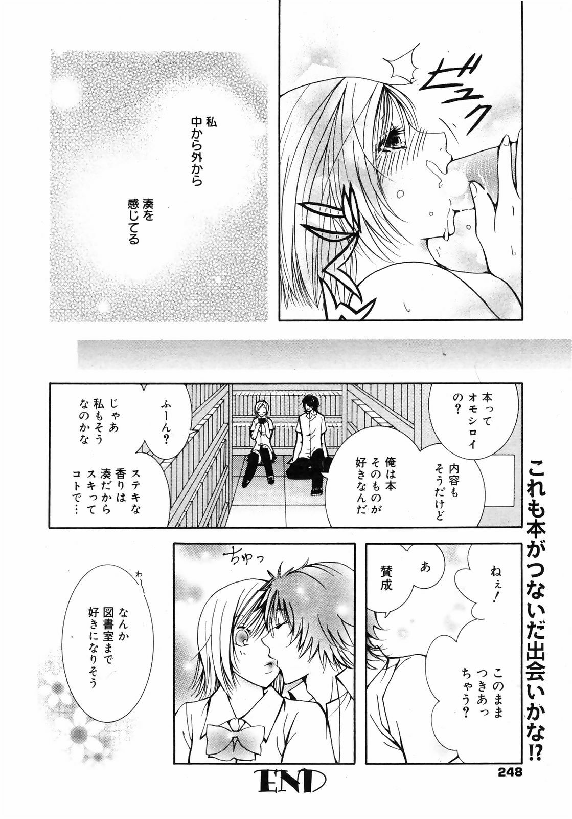 Manga Bangaichi 2009-01 page 248 full