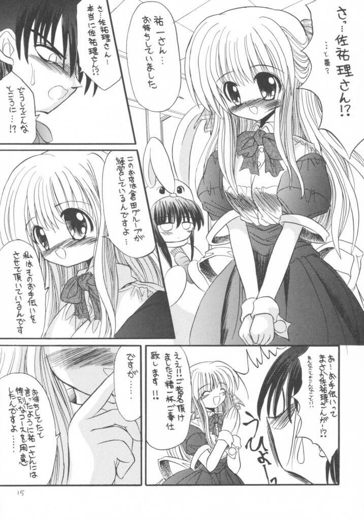 (CR33) [North River (Akizawa Kazuhito)] Kanoriru Sayurun (Kanon) page 14 full