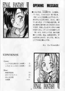 (C56) [HANAMARU MUGEN GYM (Hyoujun Mai)] Wish (Final Fantasy VIII) - page 3
