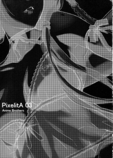 (C67) [Anime BROTHERS (Itsuki Kousuke)] PixelitA 03 - page 2
