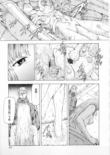 [Mukai Masayoshi] Ginryuu no Reimei Vol. 2 [Chinese] - page 43