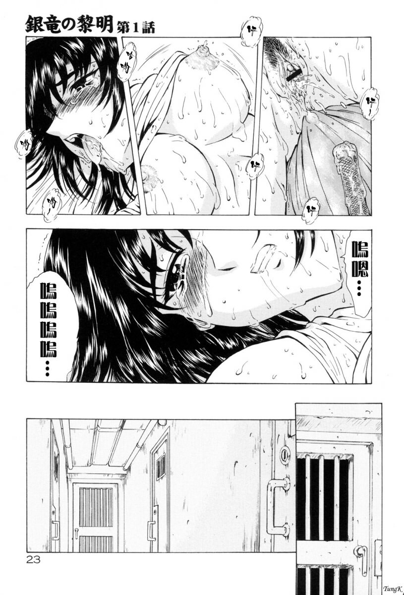 [Mukai Masayoshi] Ginryuu no Reimei Vol. 1 [Chinese] page 26 full