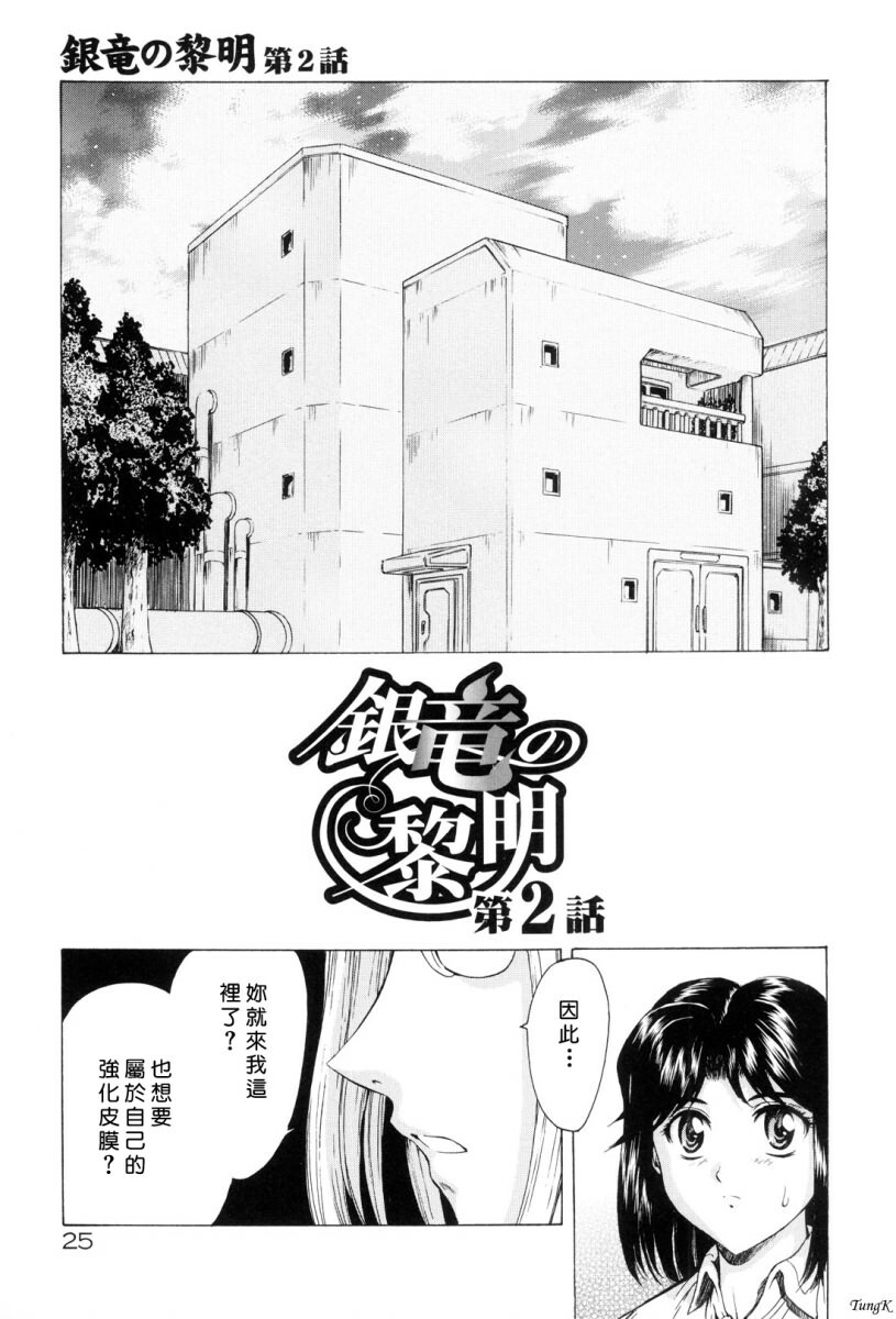 [Mukai Masayoshi] Ginryuu no Reimei Vol. 1 [Chinese] page 28 full