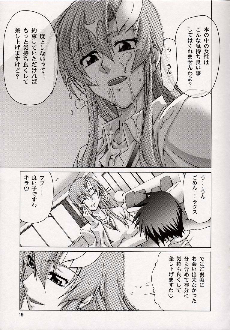 (C74) [GOLD RUSH (Suzuki Address)] A Diva of Healing V (Gundam SEED Destiny) page 15 full