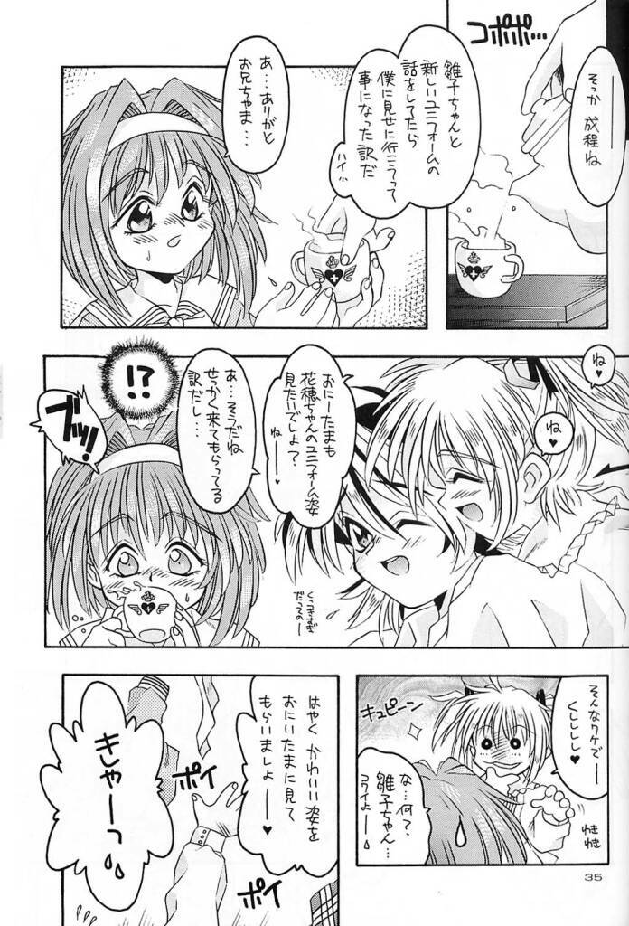 (C61) [Kyuushuu Settoudan, Unaginobori (Bau Bau, Tatsuya Kamishima, Yokoi Rego)] Dual Process (Sister Princess) page 32 full