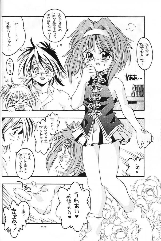 (C61) [Kyuushuu Settoudan, Unaginobori (Bau Bau, Tatsuya Kamishima, Yokoi Rego)] Dual Process (Sister Princess) page 33 full