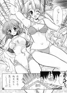 (C61) [Kyuushuu Settoudan, Unaginobori (Bau Bau, Tatsuya Kamishima, Yokoi Rego)] Dual Process (Sister Princess) - page 5