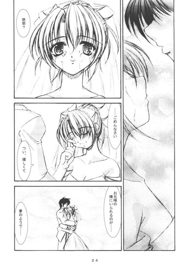 (CR30) [Takane no Hanazono (Takane no Hana)] Elopement (Sister Princess) page 23 full