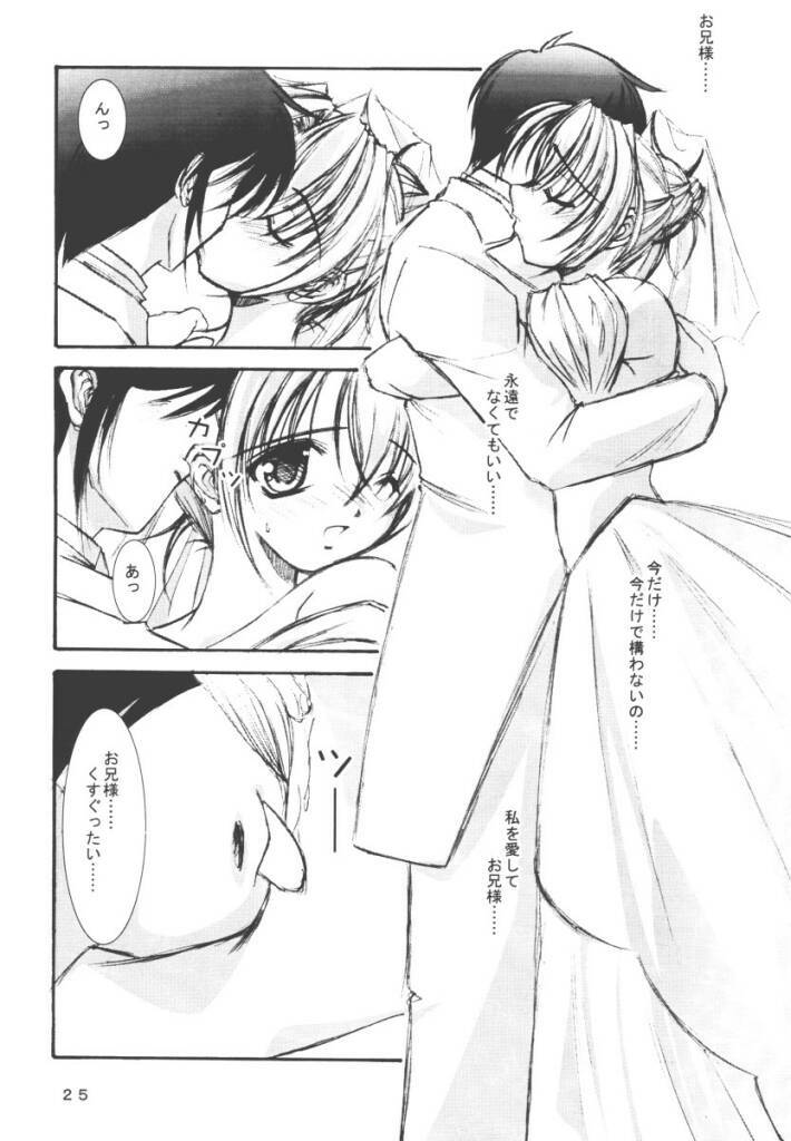 (CR30) [Takane no Hanazono (Takane no Hana)] Elopement (Sister Princess) page 24 full