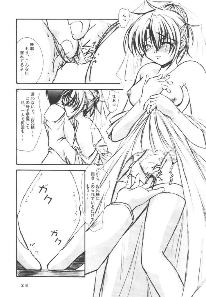 (CR30) [Takane no Hanazono (Takane no Hana)] Elopement (Sister Princess) page 27 full