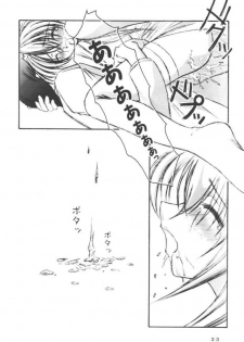 (CR30) [Takane no Hanazono (Takane no Hana)] Elopement (Sister Princess) - page 32