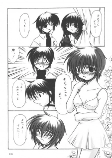 (CR30) [Takane no Hanazono (Takane no Hana)] Elopement (Sister Princess) - page 38