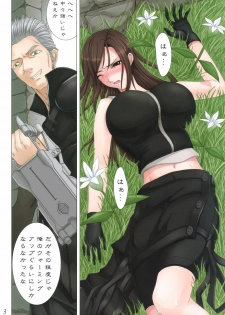 (SC31) [ORICOMPLEX (orico)] Tifa Delivery Service (Final Fantasy VII Advent Children) - page 3