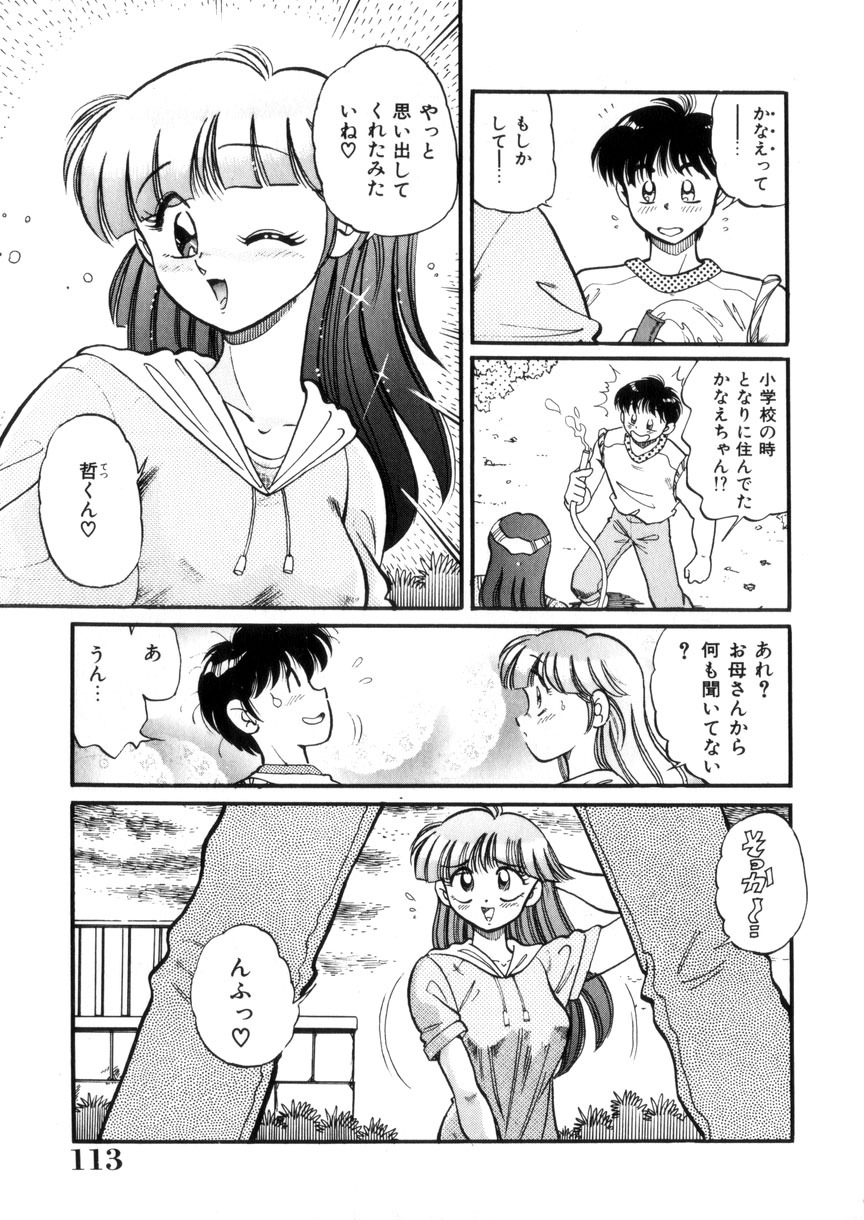 [Wolf Tarou] Tokimeki Otome Hakusho page 114 full