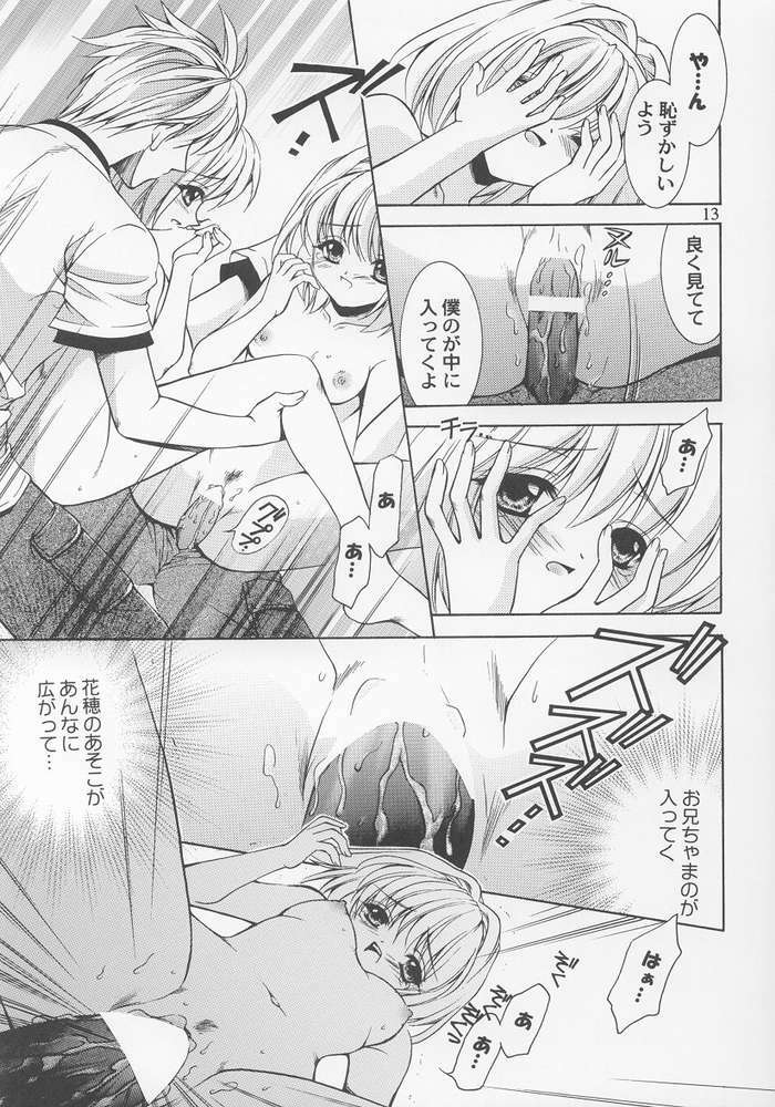 (C64) [Nekomiya (Nekomi Haruto)] Lemon Squash (Sister Princess) page 11 full