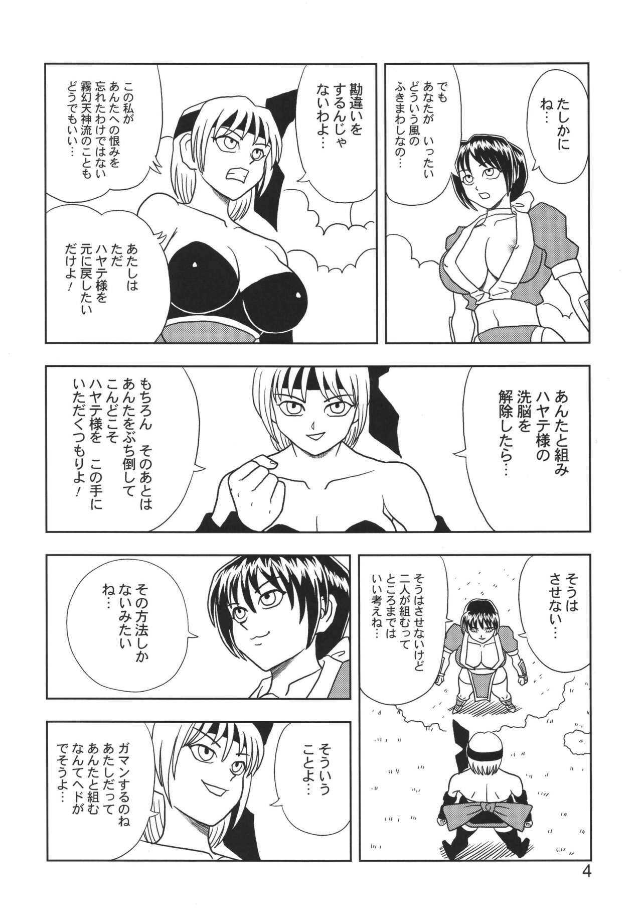 [Muchi Muchi 7 (Hikami Dan, Terada Zukeo)] Kasumi or Ayane (Dead or Alive) page 4 full